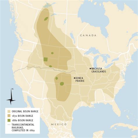 american bison former range.